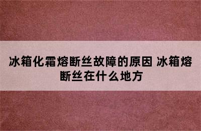 冰箱化霜熔断丝故障的原因 冰箱熔断丝在什么地方